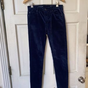 Adriano Goldschmied Farrah Skinny Blue Velvet Jeans 28R